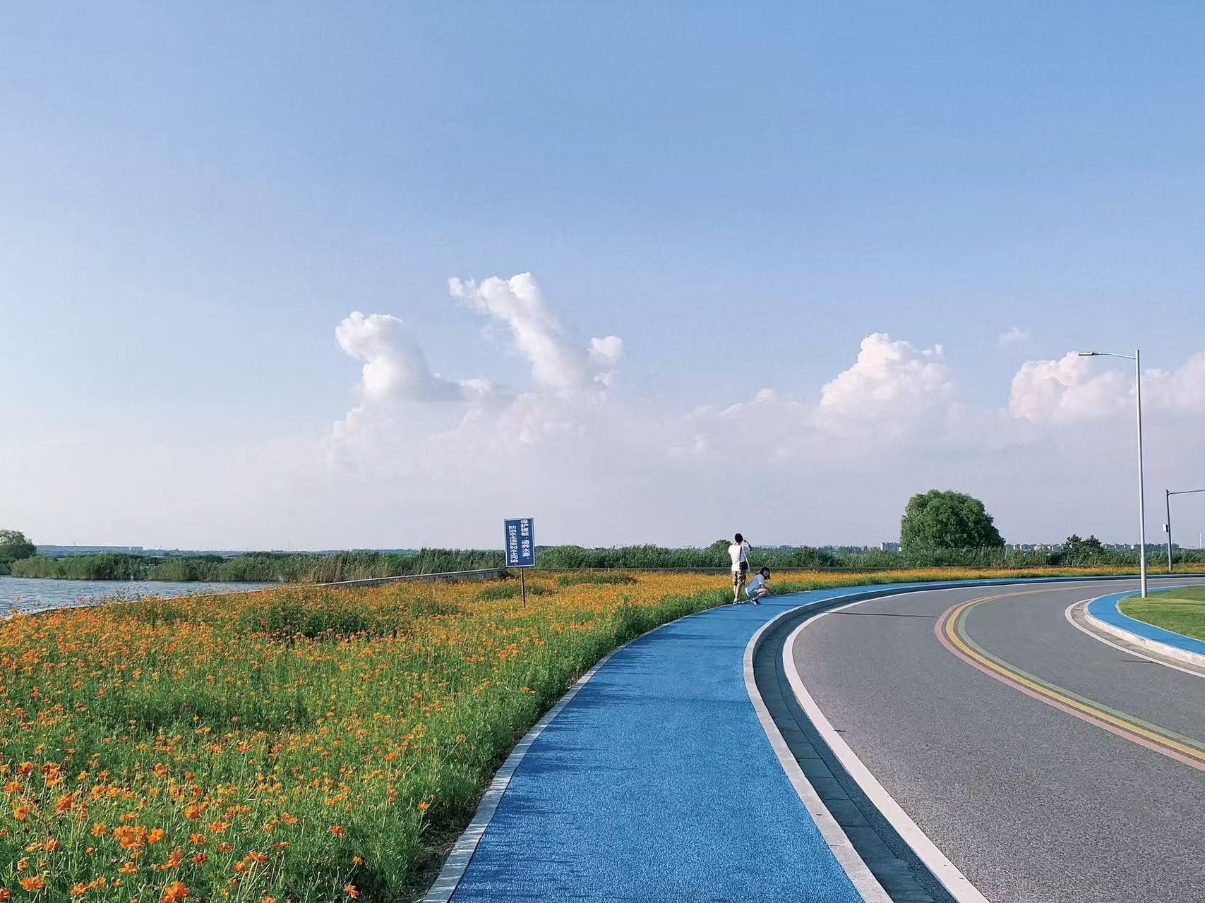 Shanghai’s Mini-Erhai Lake: Dianshan Lake Day Trip Guide