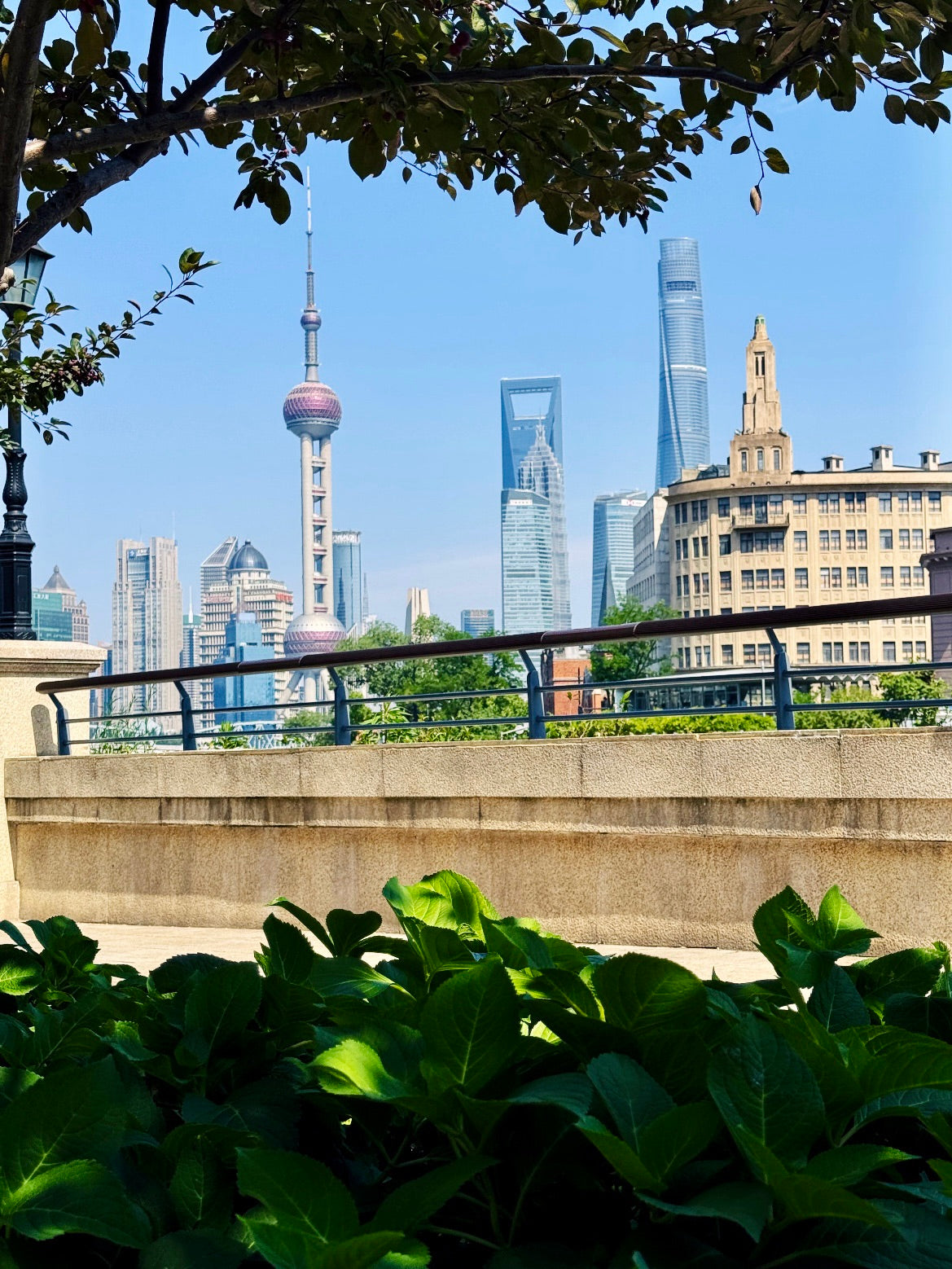Where Old Whispers Meet New Wonders: A Riverside Stroll Through Shanghai’s Soul