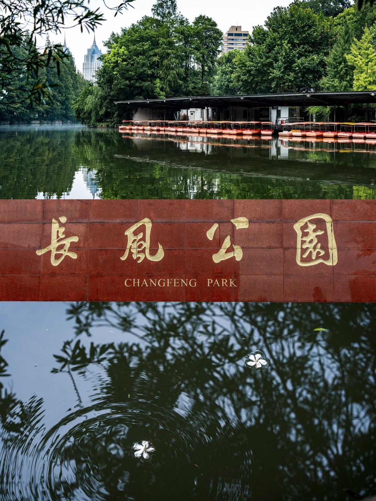 Shanghai's Watery Wonder: Changfeng Park's Lakes & Legends