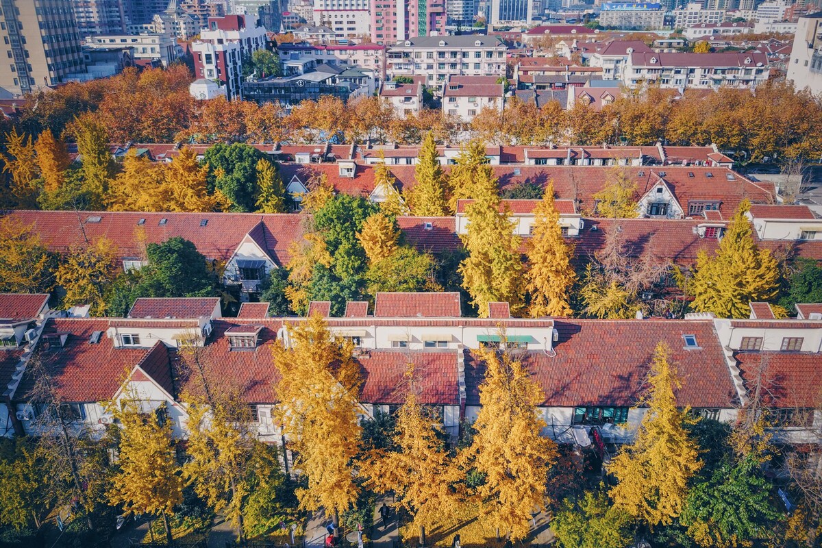 Shanghai Hills & Gefii Kumomon Family BNB with 3bedrooms