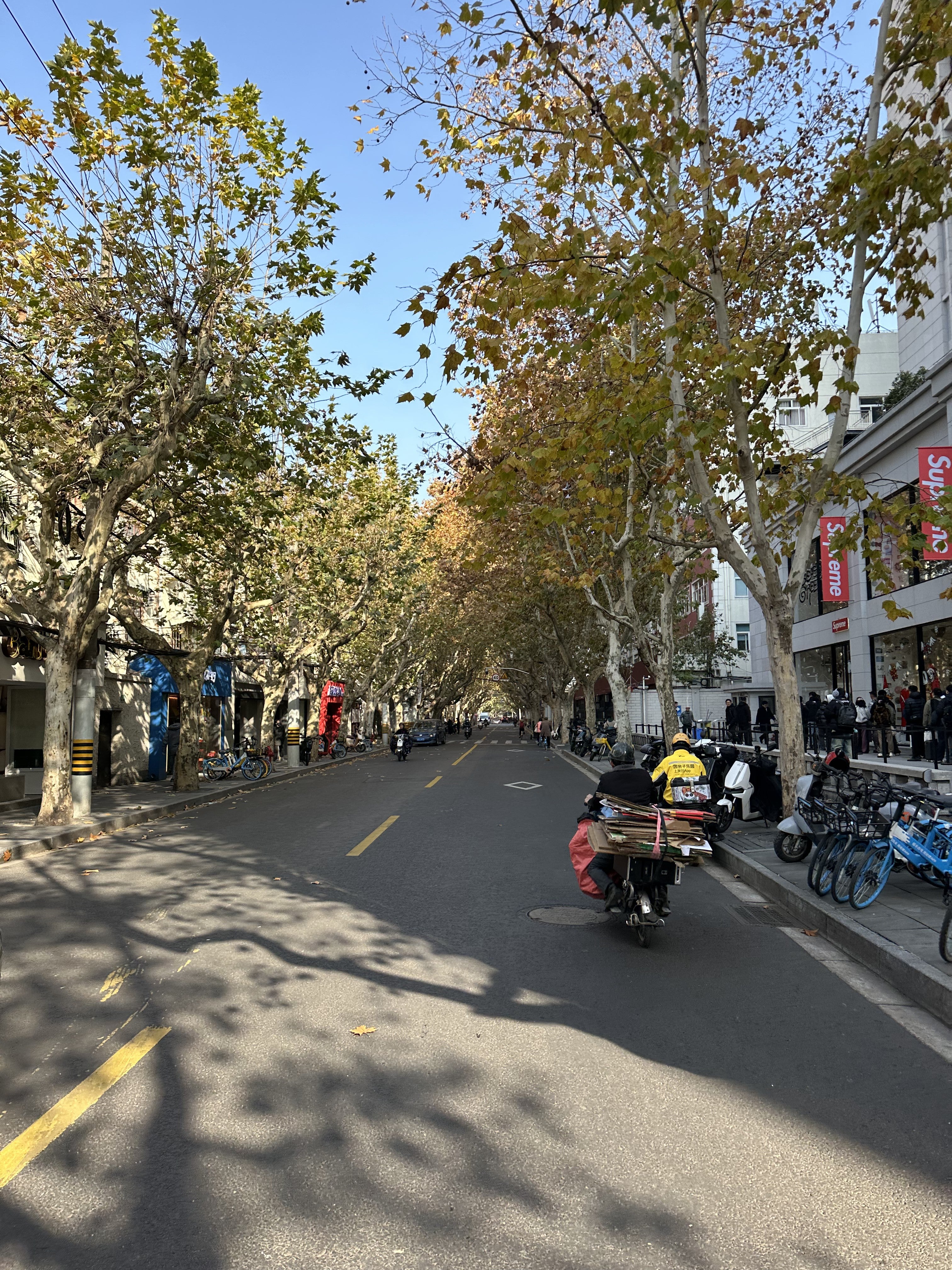 Art Suite 18 - Near Line 1 & 7 Changshu Road Metro