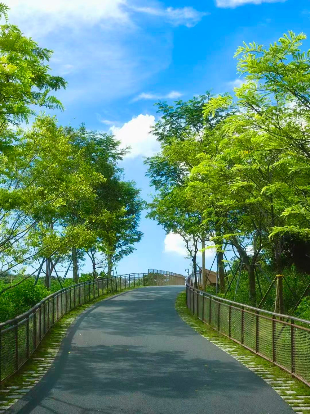 Shenzhen's Scenic Routes: The Ultimate Guide to Cycling & Self-Driving Adventures