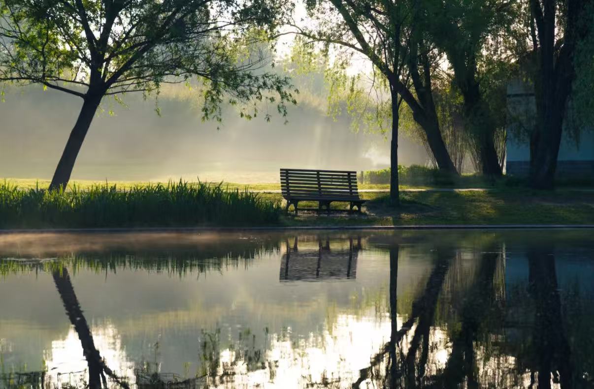 Shanghai's Urban Oasis: A Deep Dive into Gongqing Forest Park