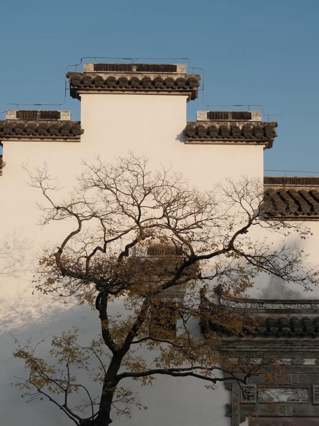 Shanghai's Ancient Roots: The Complete Guide to Guangfulin Cultural Relics Park