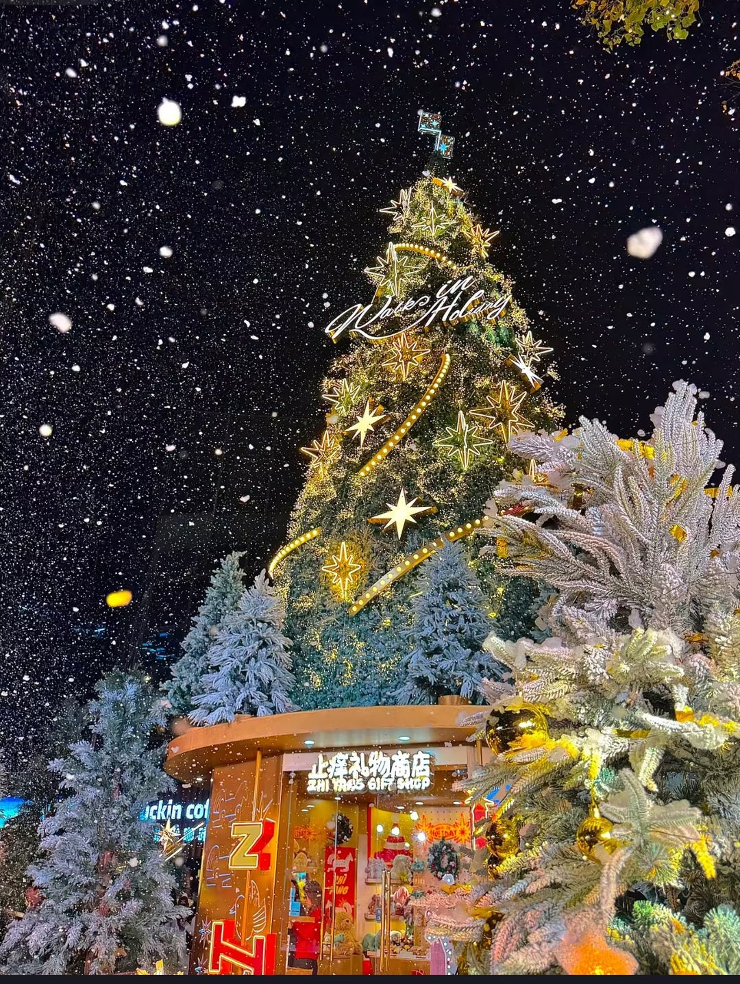 Shanghai's Glittering Christmas Tree Trail: A One-Day Festive Journey
