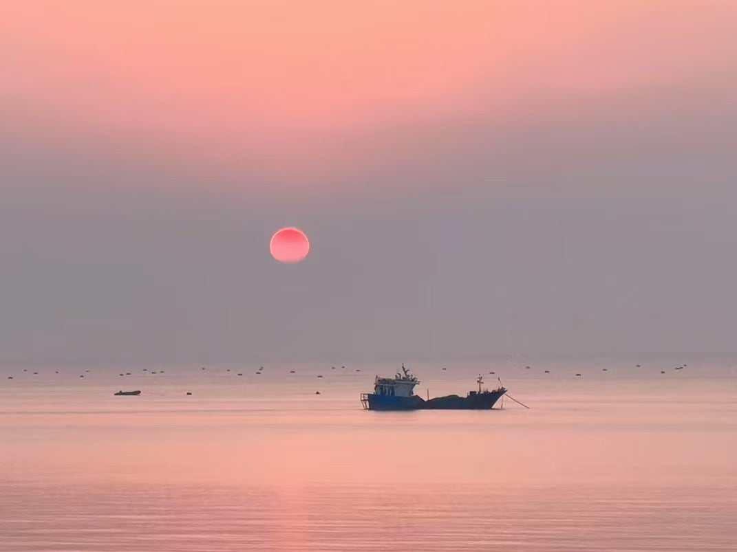 Jiaxing: A 48-Hour Journey Through Millennia of Water Town Poetry