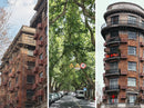 Explore Like a Local: Hidden Stories of the French Concession