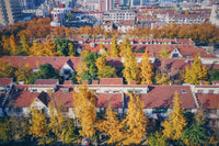 Shanghai Hills & Gefii Kumomon Family BNB with 3bedrooms