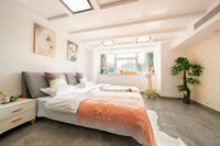 Shanghai Hills & Freshly Home Loft Retreat with 17&2 Line Access near NECC-7