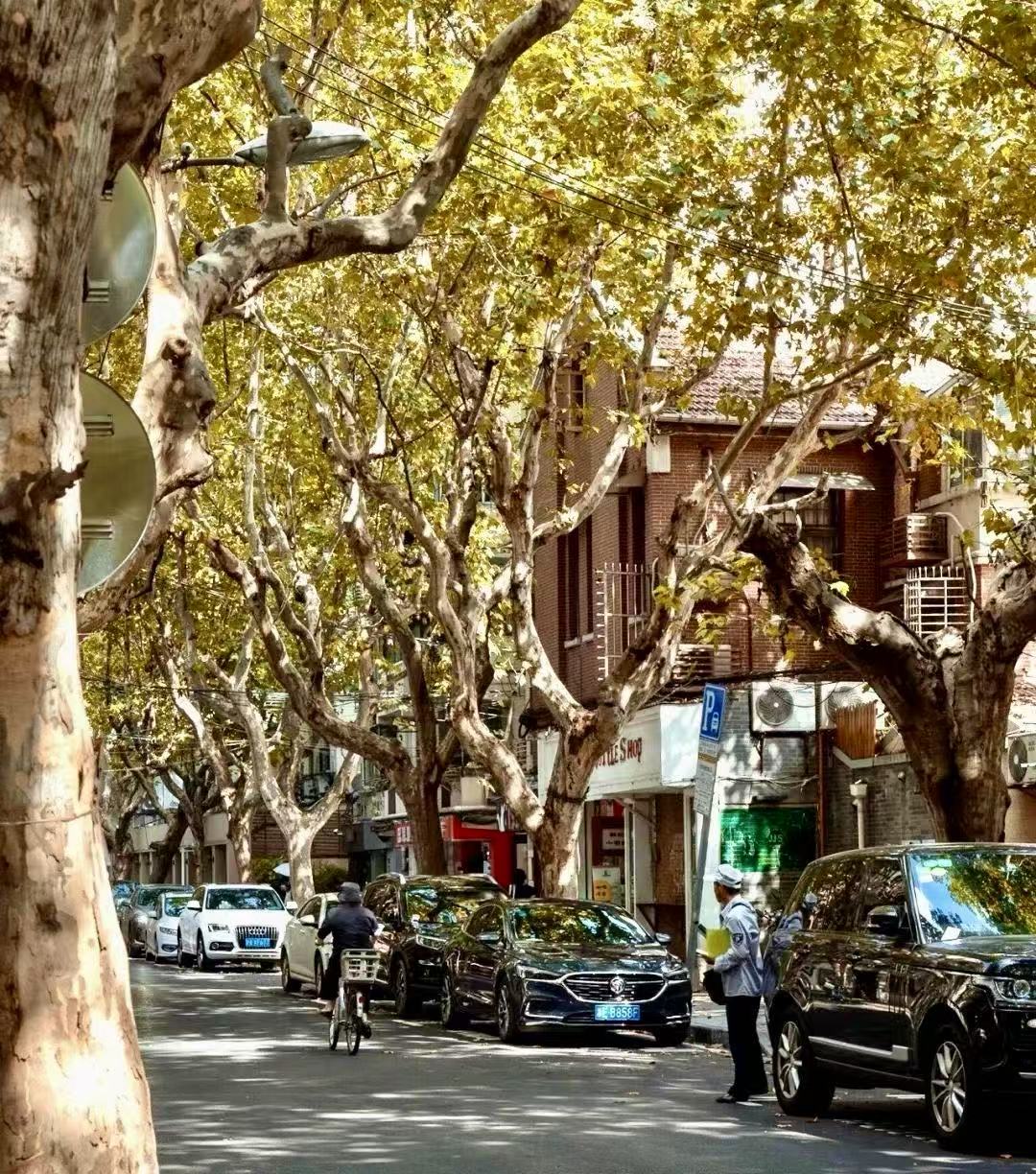Explore Like a Local: French Concession Walking Tour