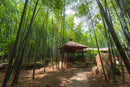 Timeless Suzhou Private Tour: A Day in the Past
