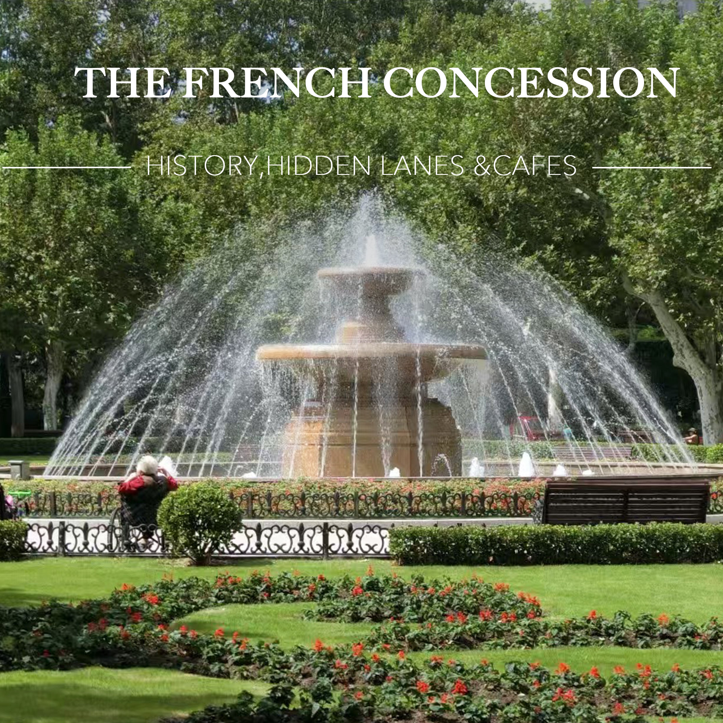 Explore Like a Local: French Concession Walking Tour