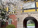 Explore Like a Local: French Concession Walking Tour
