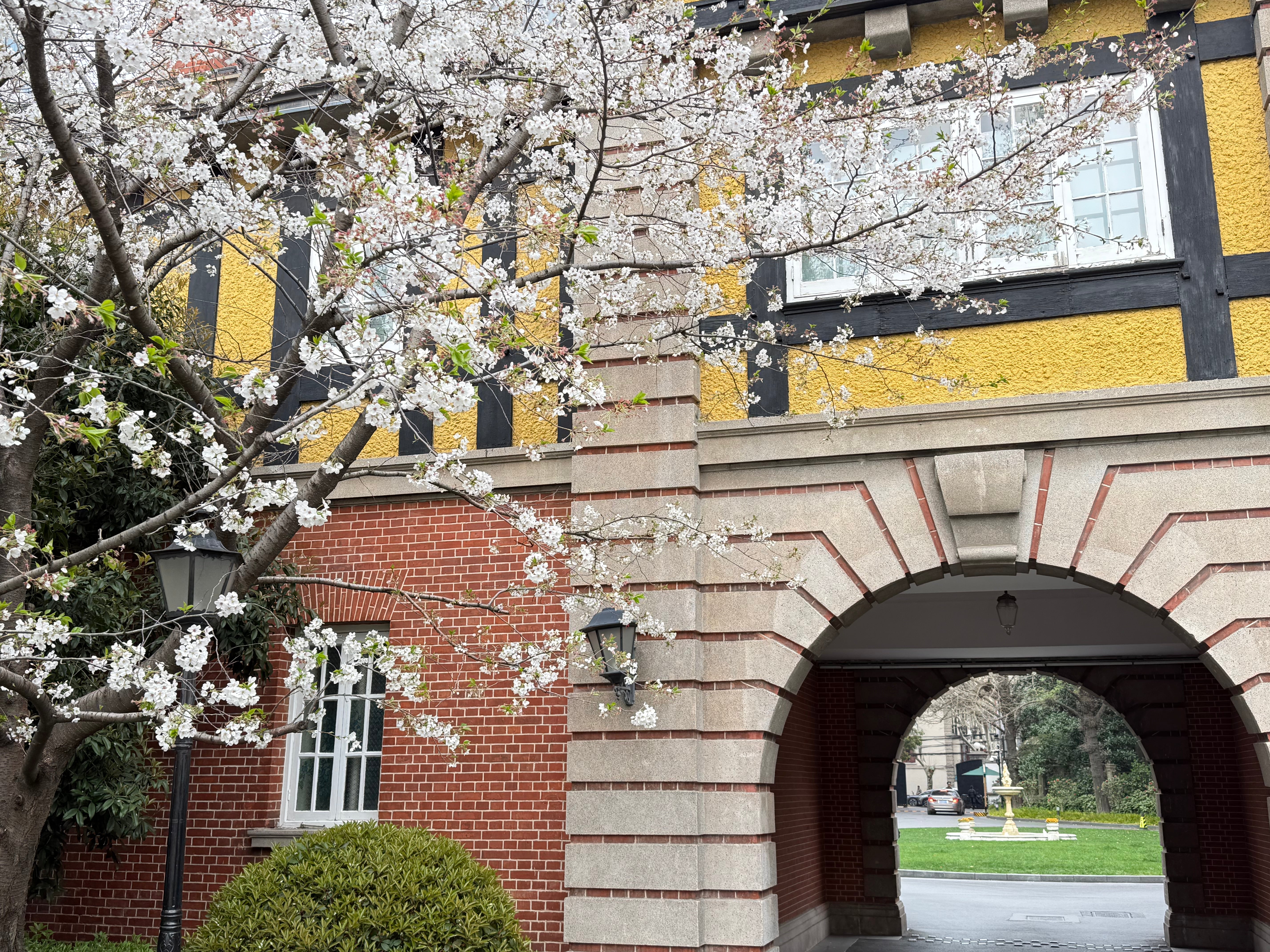 Explore Like a Local: French Concession Walking Tour