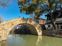 Wander Like a Local: Shanghai’s Hidden Watertown Escape
